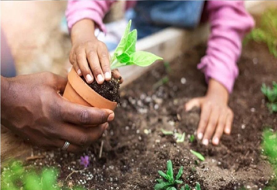 3 دقائق من النشاط العرضي تقلل