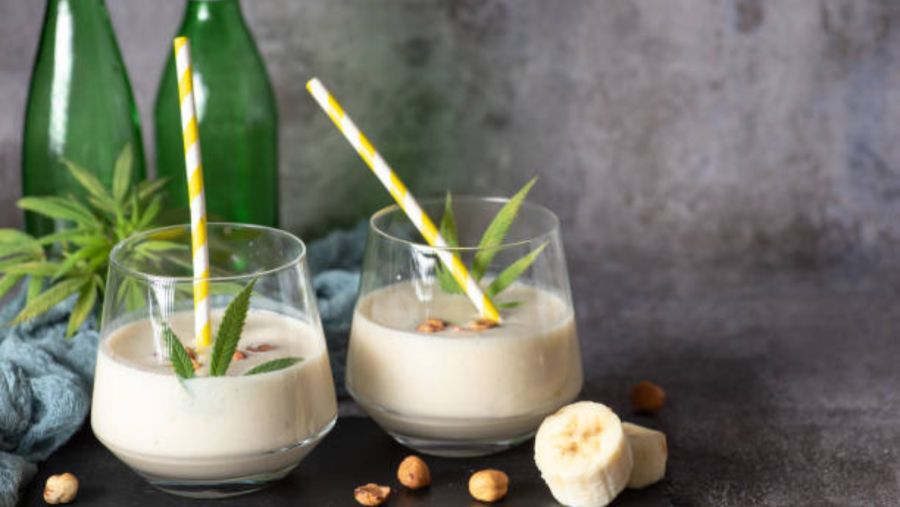 حليب القنب.. خيار جديد لعشاق التغذية