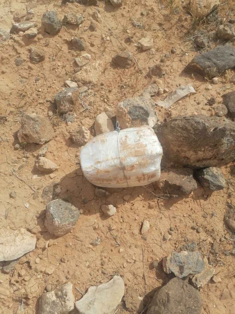 القوات المسلحة الأردنية: تم رصد الطائرة