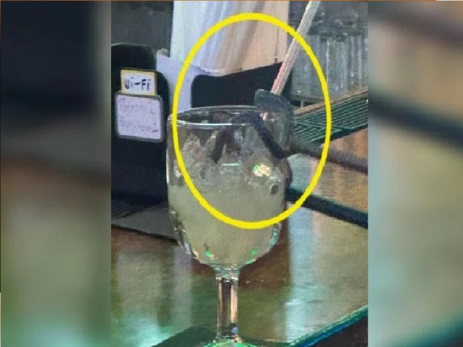 مشهد صادم في مطعم.. ثعبان يفاجئ