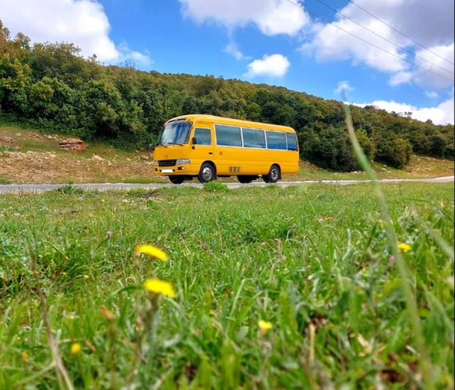 النقل البري تشترط إجراءات لتصاريح الرحلات