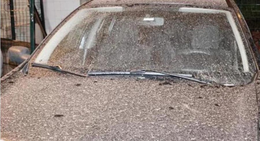 الاربعاء.. درجات الحرارة أعلى من معدلاتها