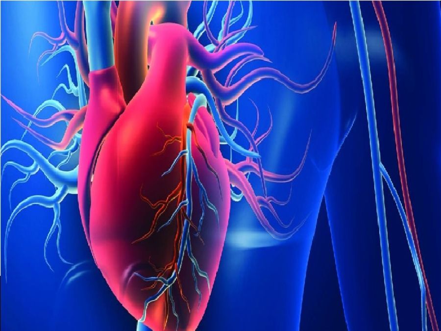 حقنة وريدية تدعم شفاء القلب بعد