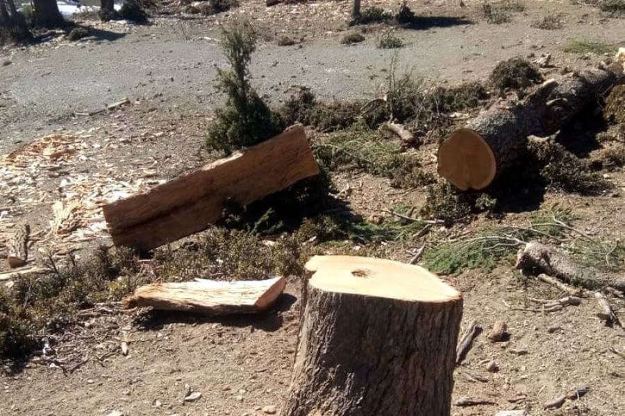 عجلون.. تم القبض عليه بعد تتبعه