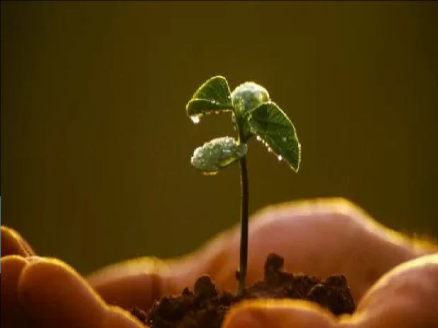 هذه شروط العمل الصالح