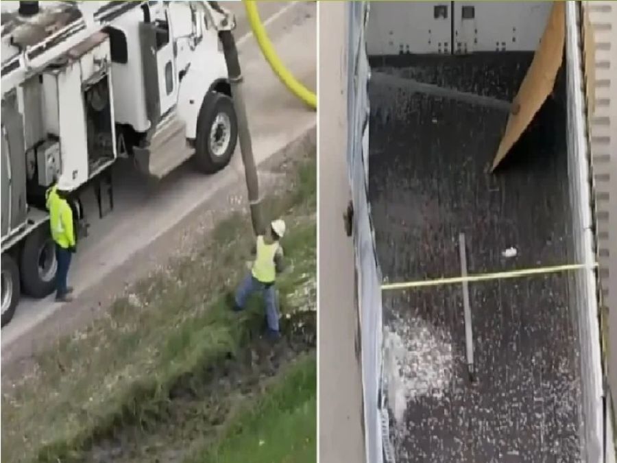 8 ملايين على الأرض.. تربك المرور