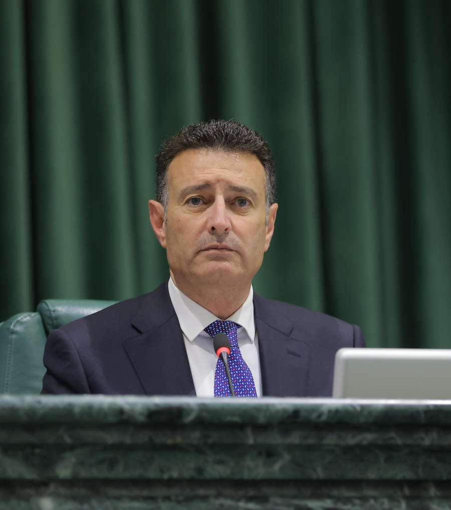 الصفدي: سنبقى نساند الأشقاء في غزة