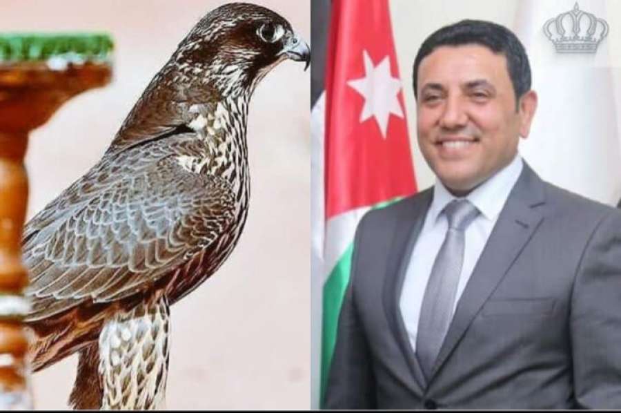 احمد الشرعاوي الزيود: الدعم الكامل للهيئة