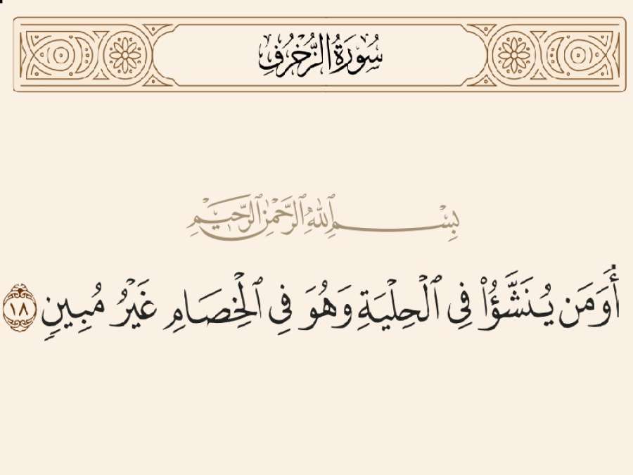 أو من ينشّأ في الحلية وهو