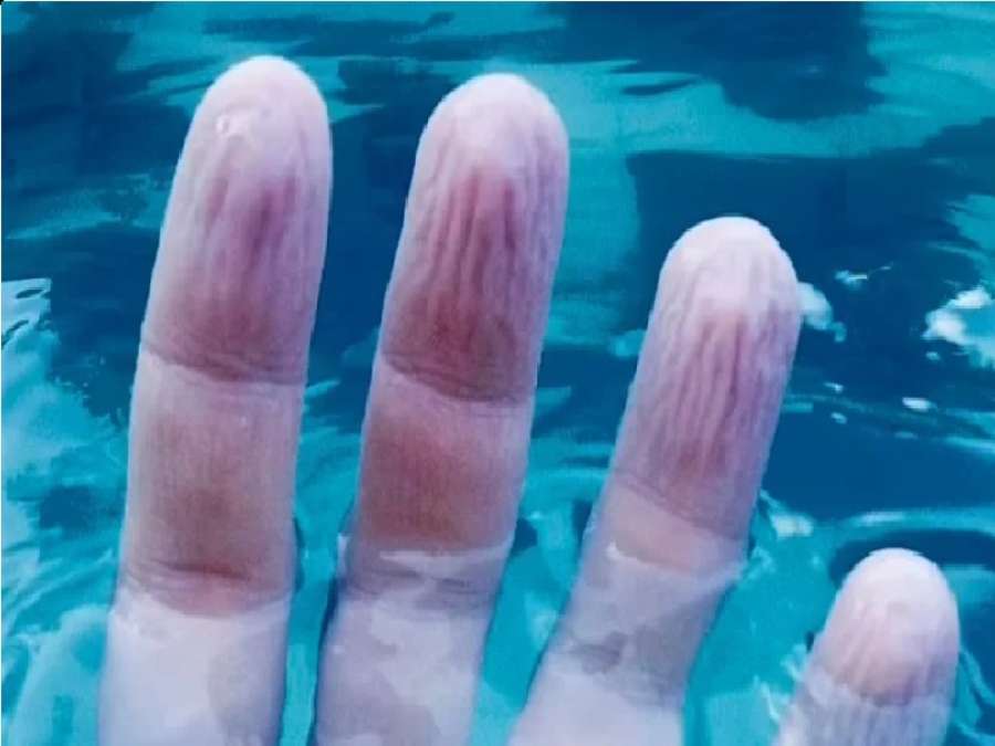 لها وظيفة مدهشة.. علماء يكتشفون حقيقة