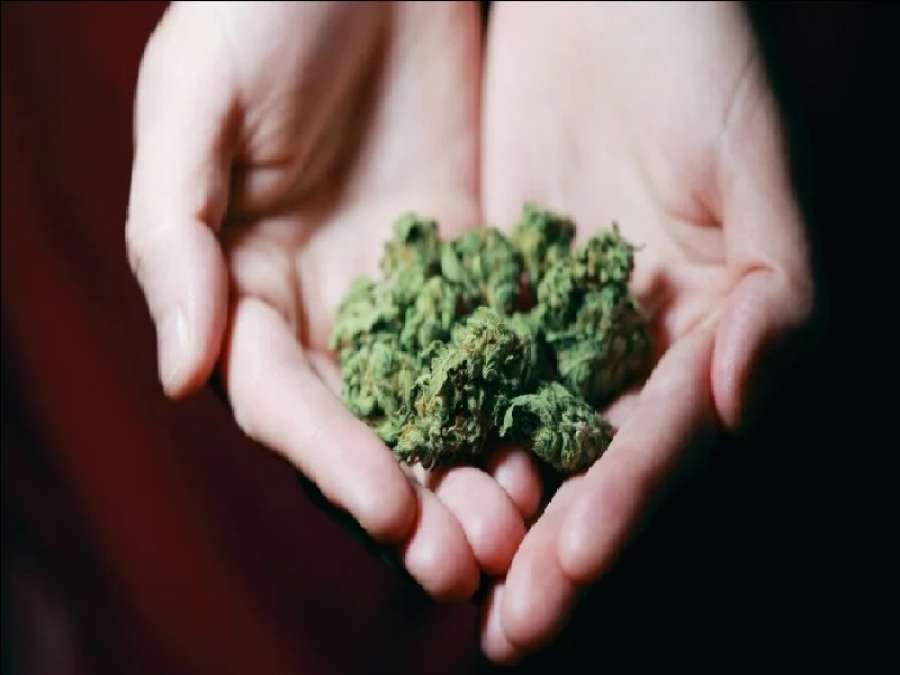 مادة قاتلة مطحونة بعظام بشرية.. ما