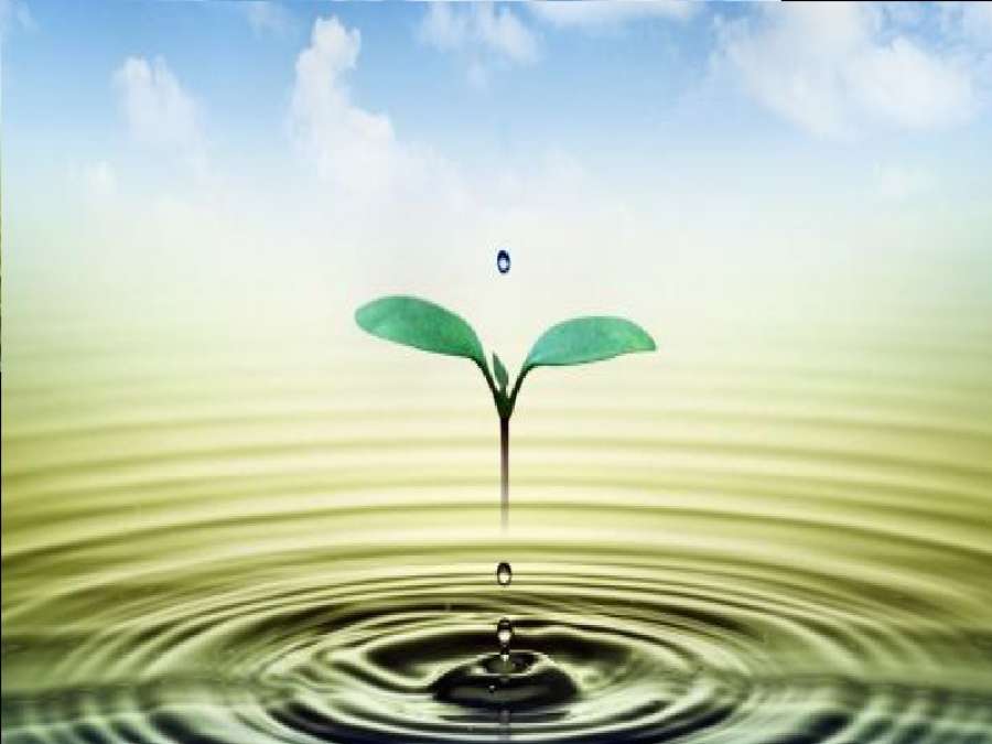 هذا يسبّ الحياة.. هل هو آثم؟