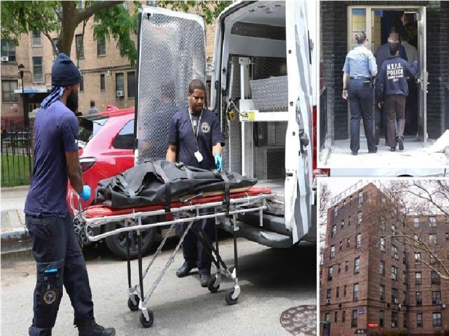 نيويورك.. جرو يقضم وجه رضيعة حتى