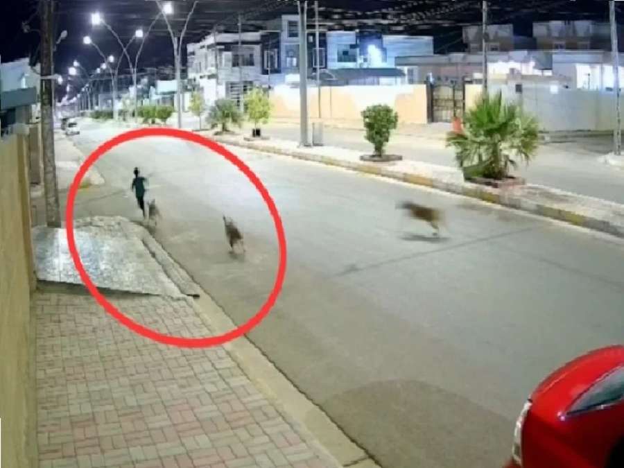 شاهد.. طفل عراقي يردّد الشهادة لينجو