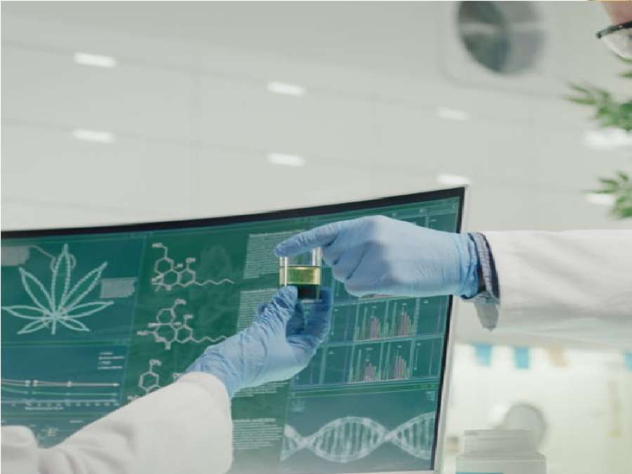 دراسة.. تعاطي الماريغوانا يدمر القلب