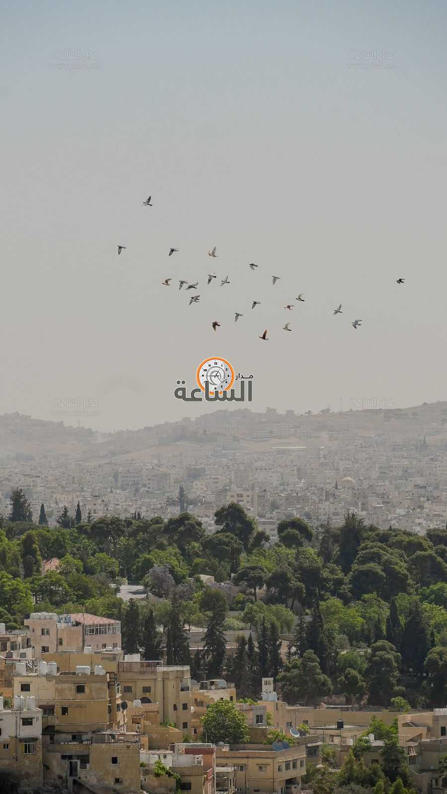 الجمعية الفلكية الأردنية: بداية فصل الصيف