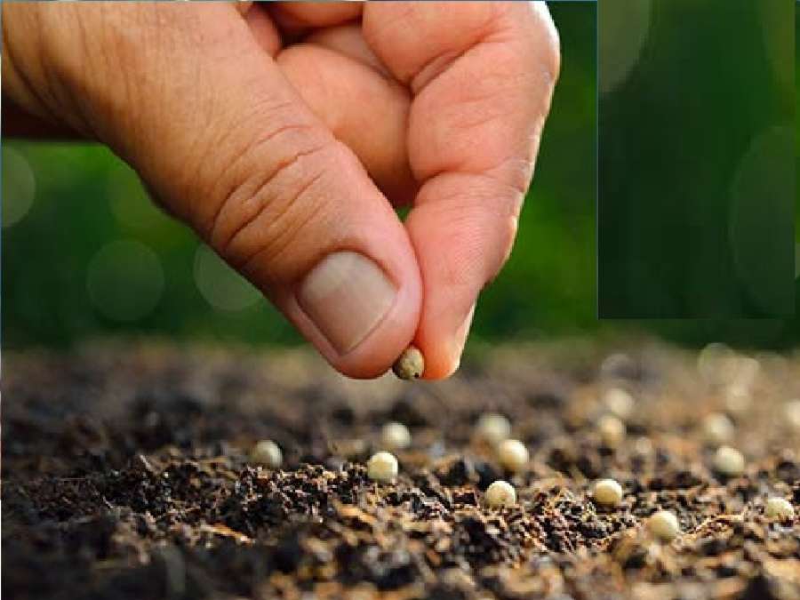 هل للمدرس أن ينوي ثواب التعليم