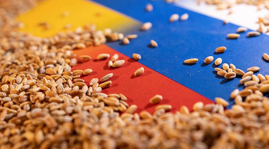 روسيا: إلغاء ضريبة تصدير القمح بشكل