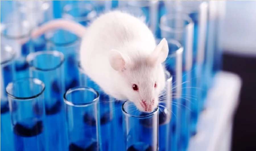 تنتج خلال 10 أيام فقط.. خلايا