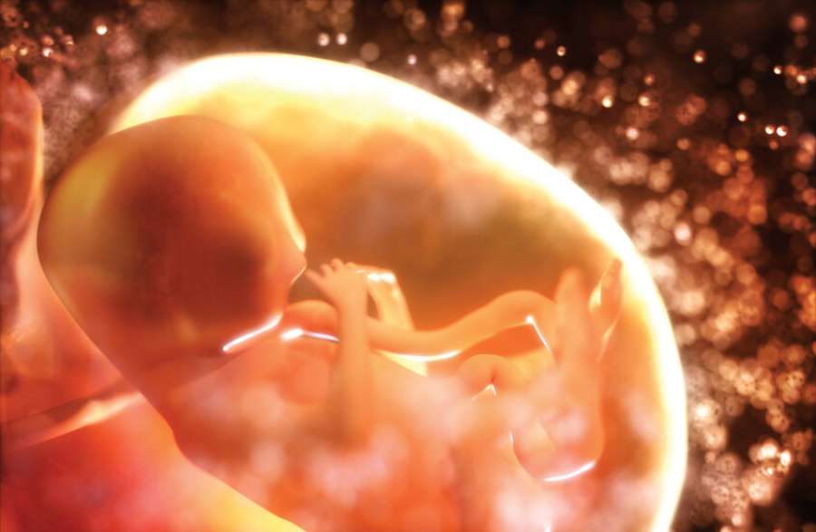 متى ينشأ الشعور بالألم لدى الإنسان؟