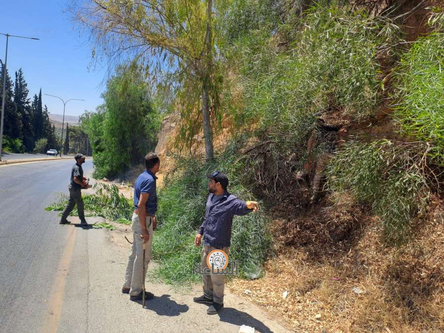 محافظ جرش يوجه لتجميل مداخل مدينة