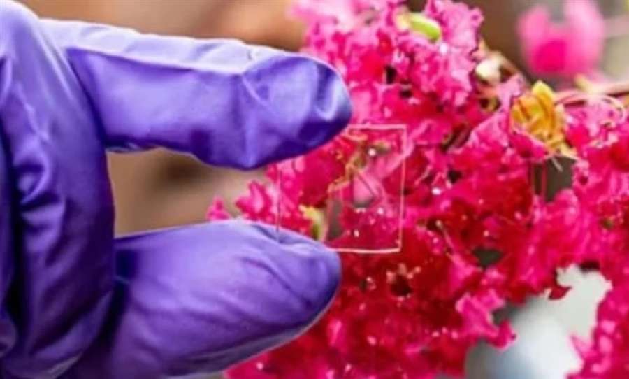 ابتكار طلاء لزجاج النوافذ يقاوم الحر