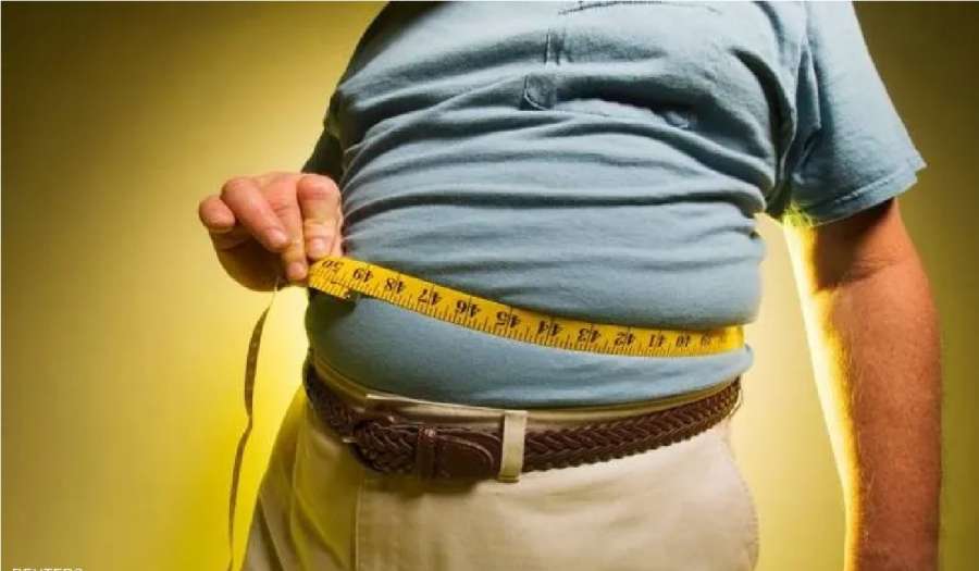 أيهما يسبب السمنة أكثر: النظام الغذائي