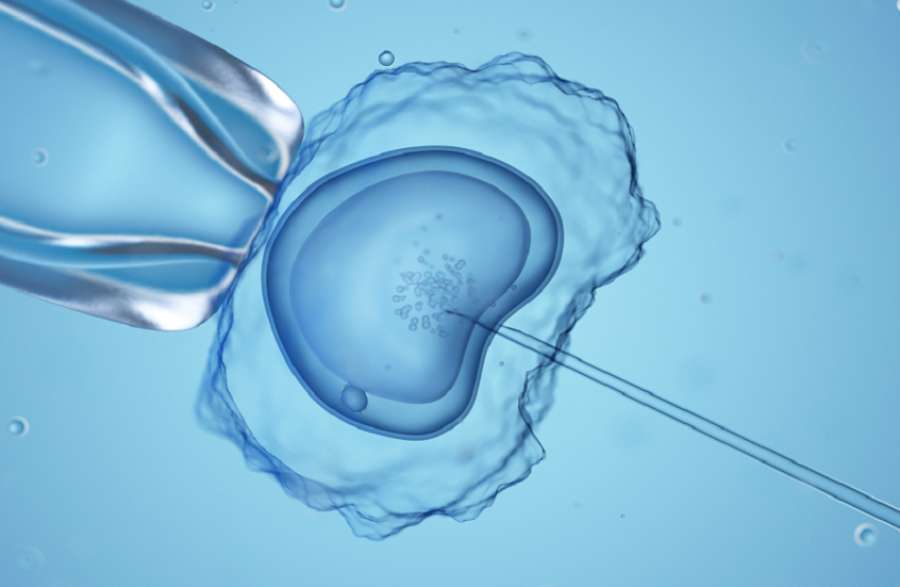 صدمة علمية.. ولادة 8 أطفال أصحاء