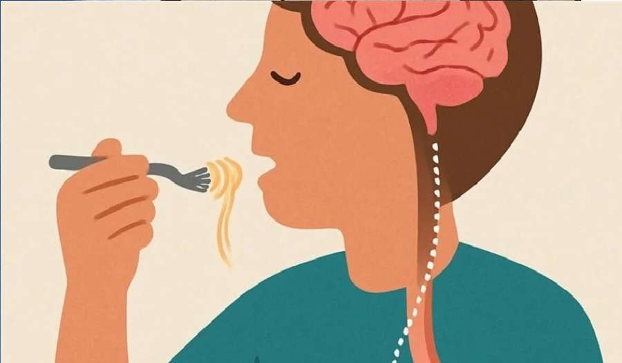 علماء يكتشفون حاسة سادسة في الأمعاء