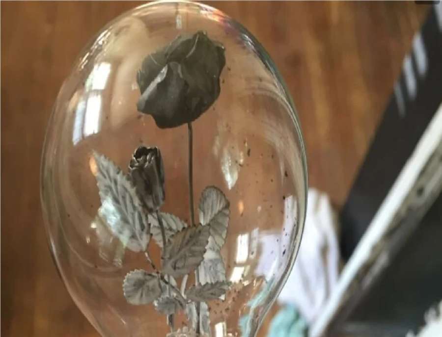 بالصور: أغرب الأشياء التي عثر عليها