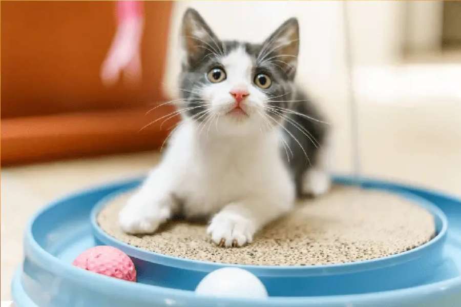 تحذير طبي: مخاطر خفية خطيرة من