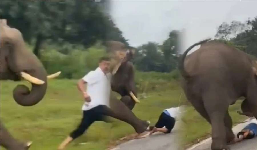 لا تحاول الحصول على صورة سيلفي