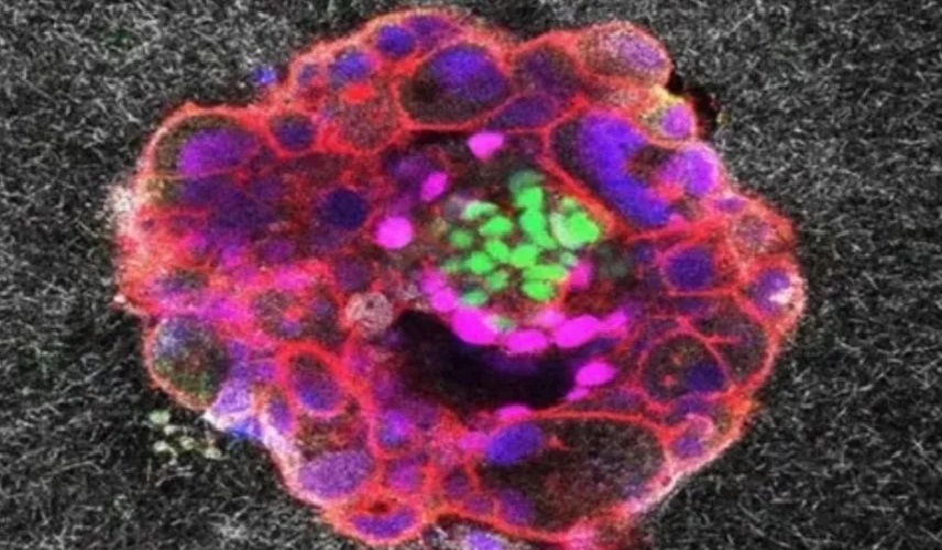 لأول مرة في العالم.. فيديو يرصد