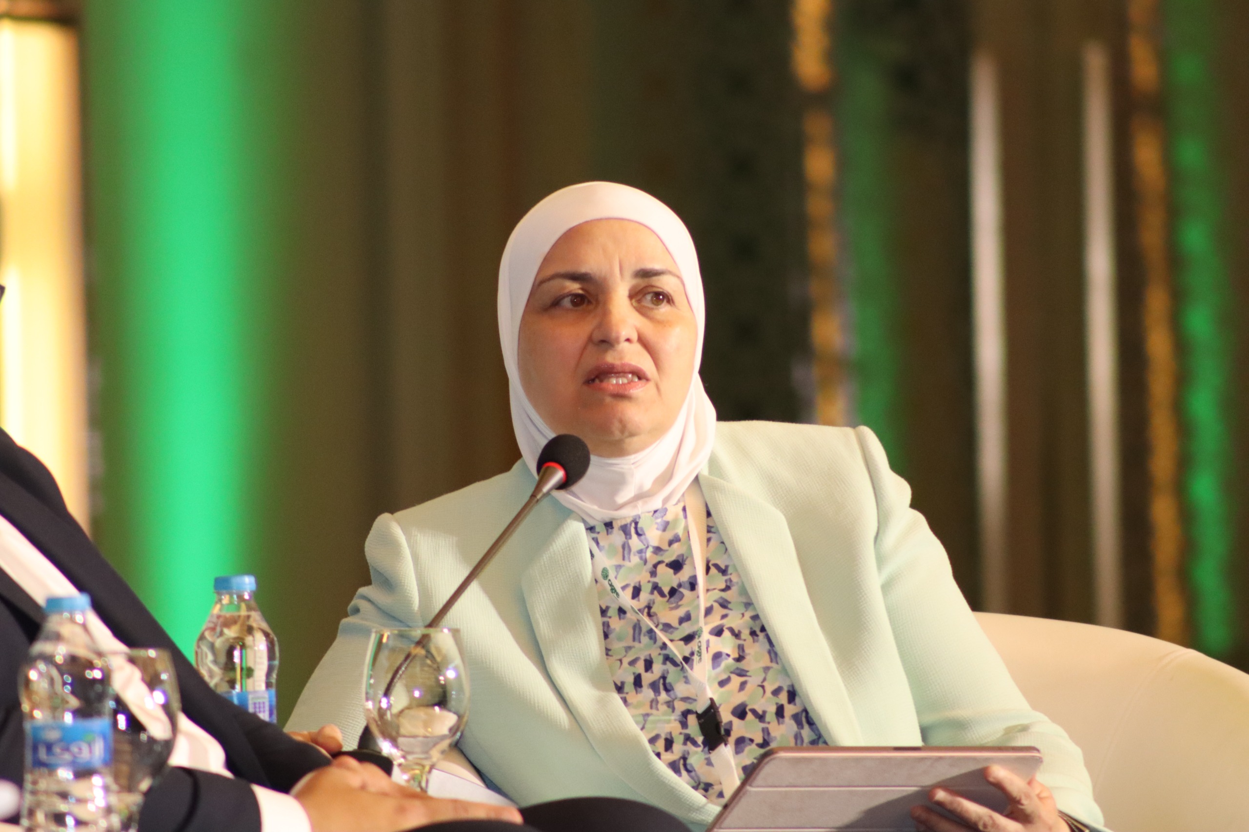 العزام: قانون الكهرباء الجديد يعزز التخزين