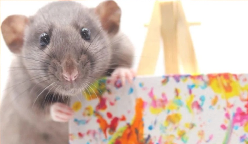 فتاة تجني آلاف الدولارات من لوحات