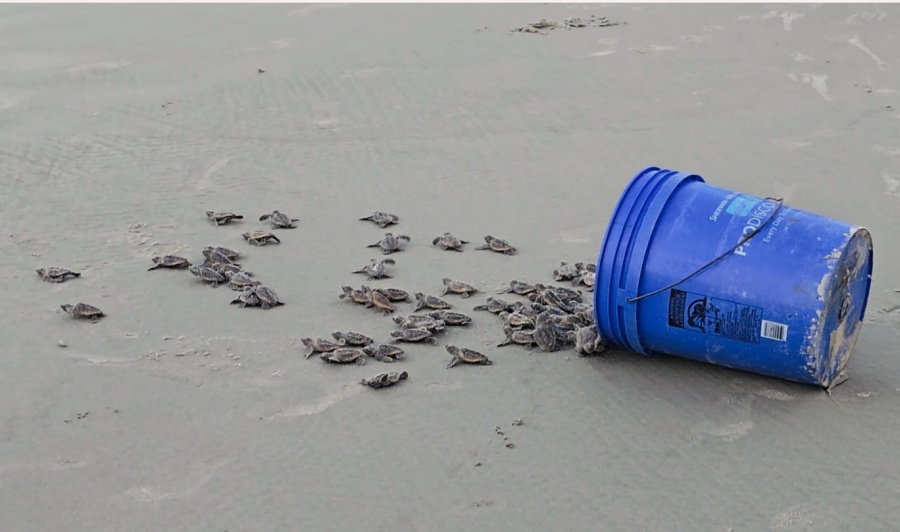 مشاركة أردنية بارزة في أكبر مؤتمر