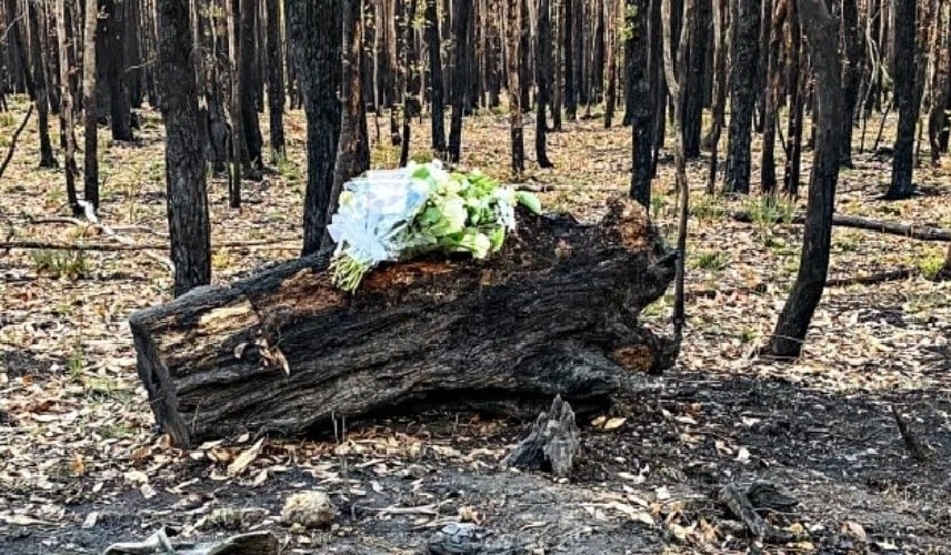 بعد تعليم الابن مهارات البقاء على