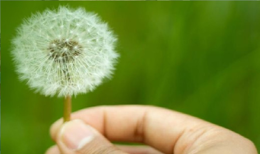 من حديث (أن رسول الله ﷺ