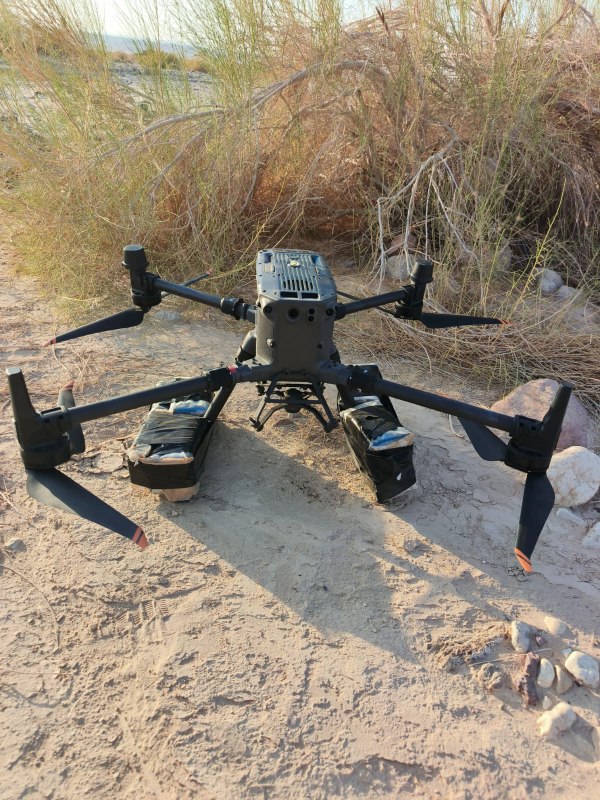 حرس الحدود الأردني يرصدها ويطبق قواعد