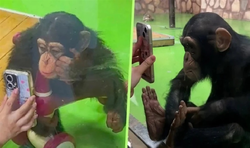 حديقة حيوان تصدر قرارا صارما لحماية