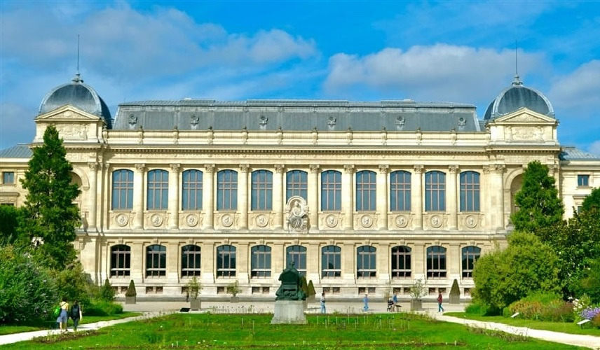 ثمنها 700 ألف دولار.. لصوص يسرقون