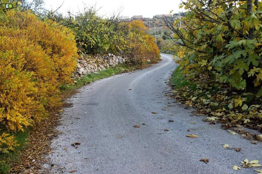 يستمر 89 يوما و20 ساعة و43