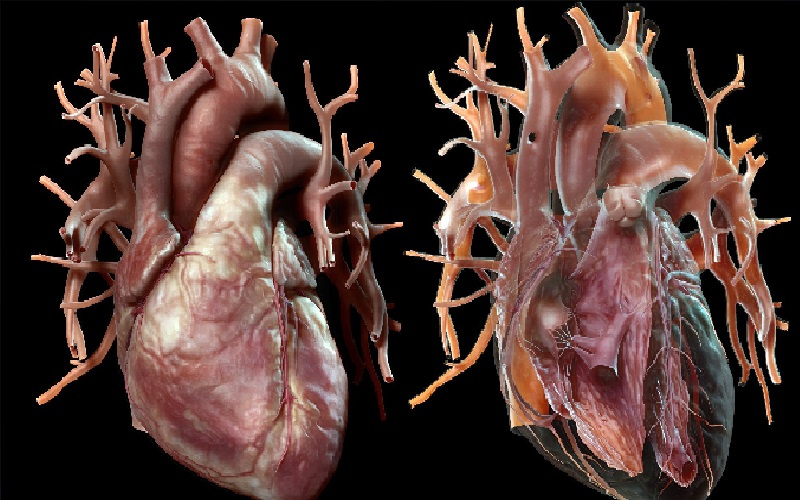 4 عادات تحميك من الخرف وأمراض
