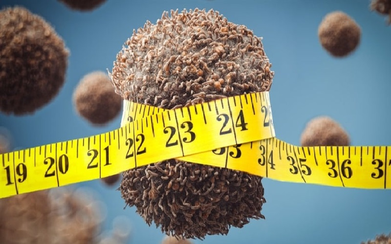 تجويع الأورام.. كيف نمنع مصادر الطاقة