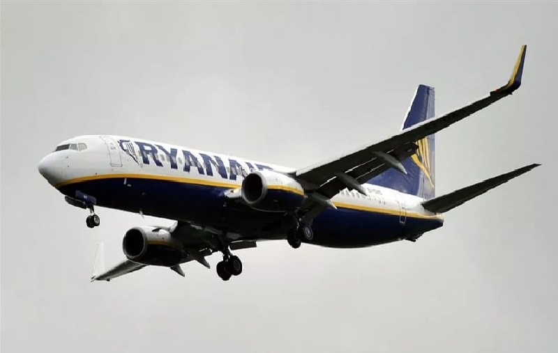 أكلا جواز سفرهما وهما على متن