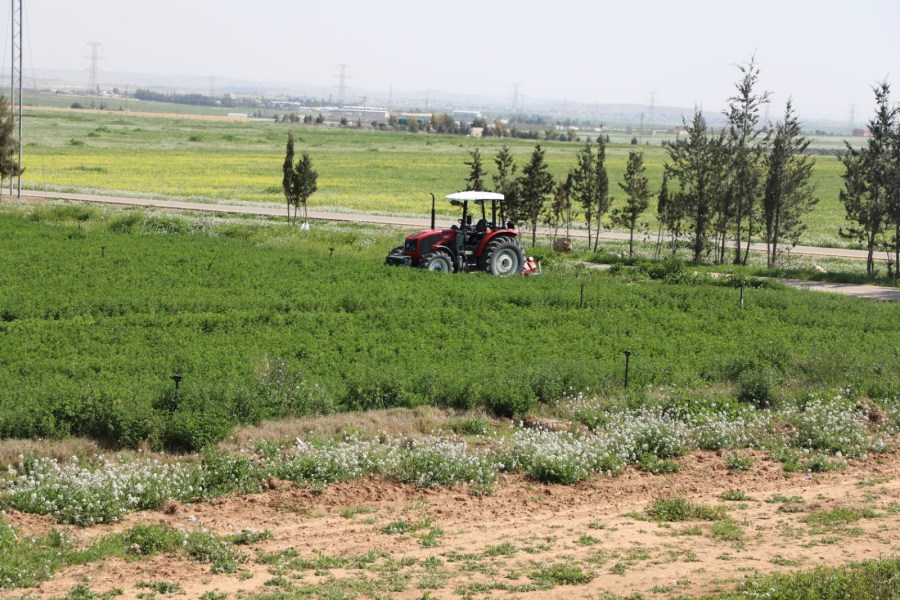 المياه: 197 مليون متر مكعب مياه
