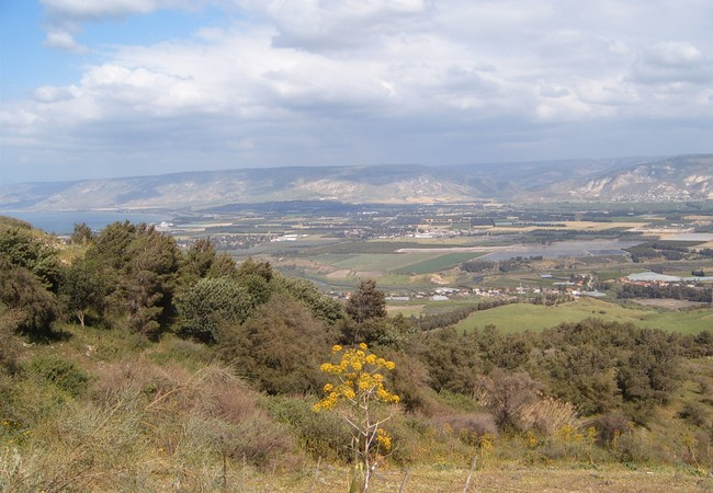 ثلاثون منظمة أردنية تحذر من تبعات