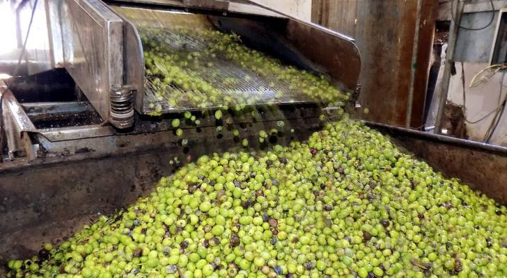 تحديد سعر تنكة زيت الزيتون لهذا