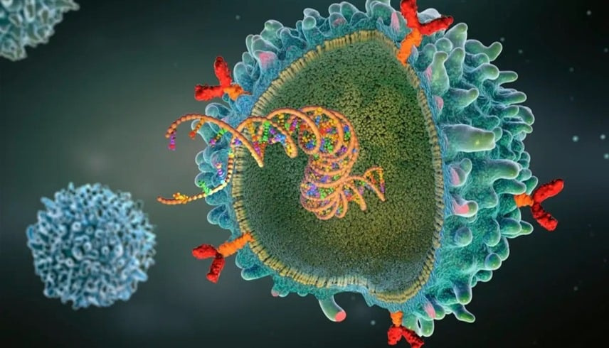 باحثون: أول علاج لمرض الذئبة باستهداف