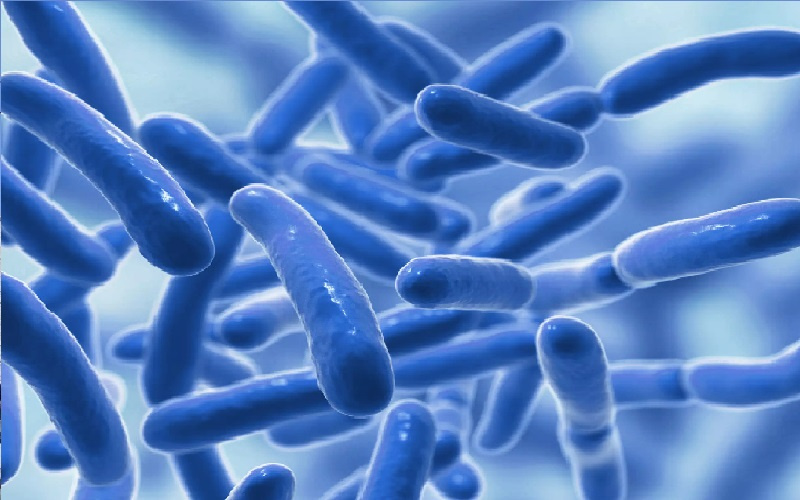 البروبيوتك أثناء الحمل.. أول دليل علمي